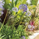 Las 17 mejores plantas ornamentales para el frente de casa