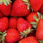 Las 17 mejores variedades de fresa para cultivar en casa