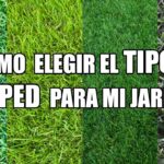 Los 13 mejores tipos de césped para tu jardín