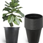 Los Mejores Recipientes Para Jardines en Maceta