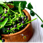 Malabar Spinach: Verdura Ideal para Climas Cálidos