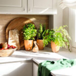 Nunca podes estas 13 plantas en otoño