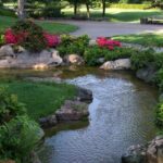 Ocho principios clave para un jardín paisajístico impresionante