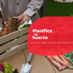 Planifica tu jardín en 2025: consejos para comenzar eficazmente