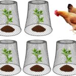 Protege tus plantas jóvenes con campanas y jaulas para insectos