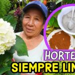 ¿Puede el café molido realmente hacer azules las hortensias?