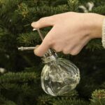 ¿Qué agregar al agua del árbol de Navidad?