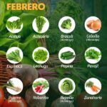 ¿Qué cultivar en febrero? Ideas y consejos prácticos