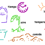 Razones y soluciones para el crecimiento desgarbado de tus plantas