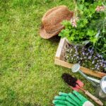 Realiza estas 7 tareas invernales para un césped saludable en primavera