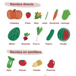 Siembra Estos 15 Vegetales en Mayo