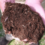 Soluciones para la Contaminación por Herbicidas en Compost y Mantillo