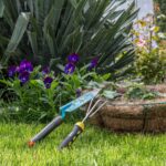 Tareas Esenciales de Jardinería para 11 de Septiembre