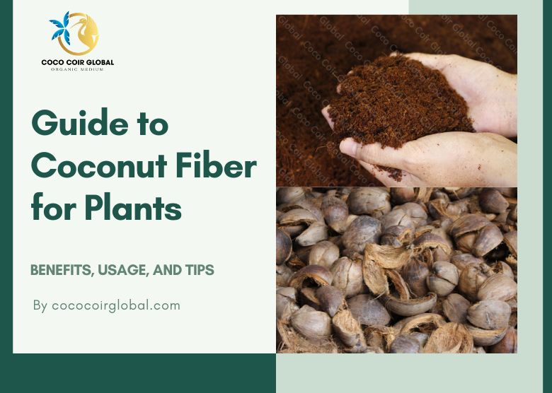 Uso y beneficios del coco coir para tus plantas