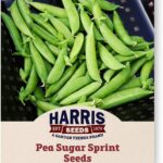 Variedades de guisantes ideales para cultivar en tu jardín