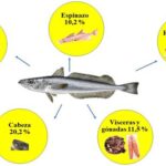 Ventajas del fertilizante de pescado y su aplicación eficaz