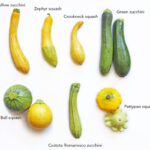 Zucchini y Summer Squash: ¿En Qué Se Diferencian?